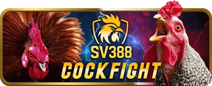 Hỗ trợ khách hàng 24/7 chuyên biệt